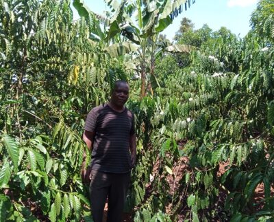Former Rubaga North MP Moses Kasibante in his coffee farm