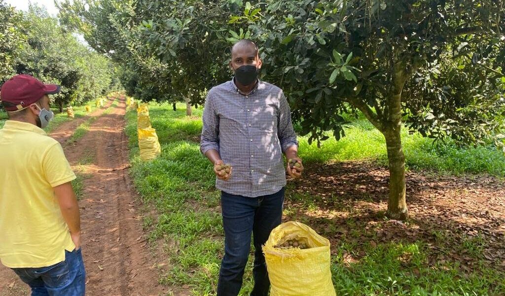 Minister Tumwebaze (R) touring leading macadamia farm in Mityana