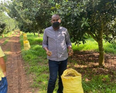 Minister Tumwebaze (R) touring leading macadamia farm in Mityana