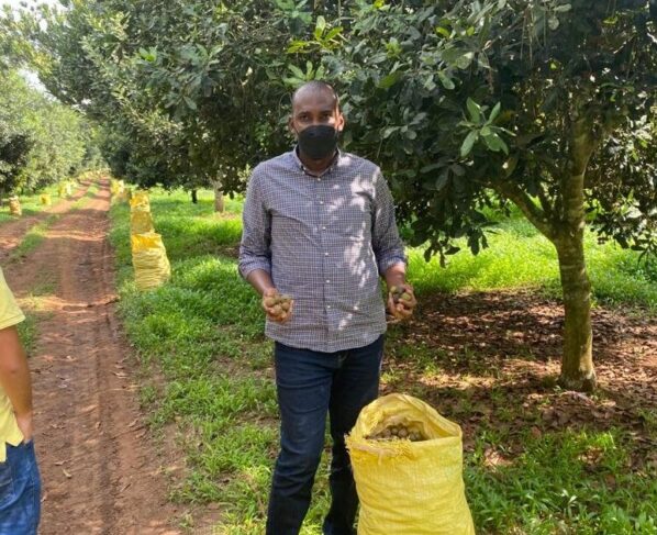 Minister Tumwebaze (R) touring leading macadamia farm in Mityana