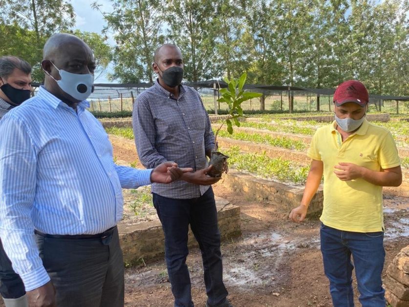L-R: Ministers Ssempijja, Tumwebaze interacting with Amafh farm boss