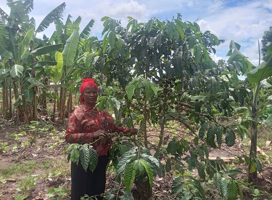 Nassali is involved in several farming activities that help her earn regularly