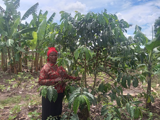 From Studio Lights to Soil: Former CBS and WBS Presenter Salimah Nassali Finds Purpose in Farming