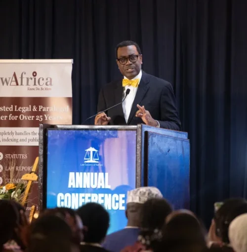 Dr Akinwumi Adesina, President of the African Development Bank Group. (Photo: Courtesy)
