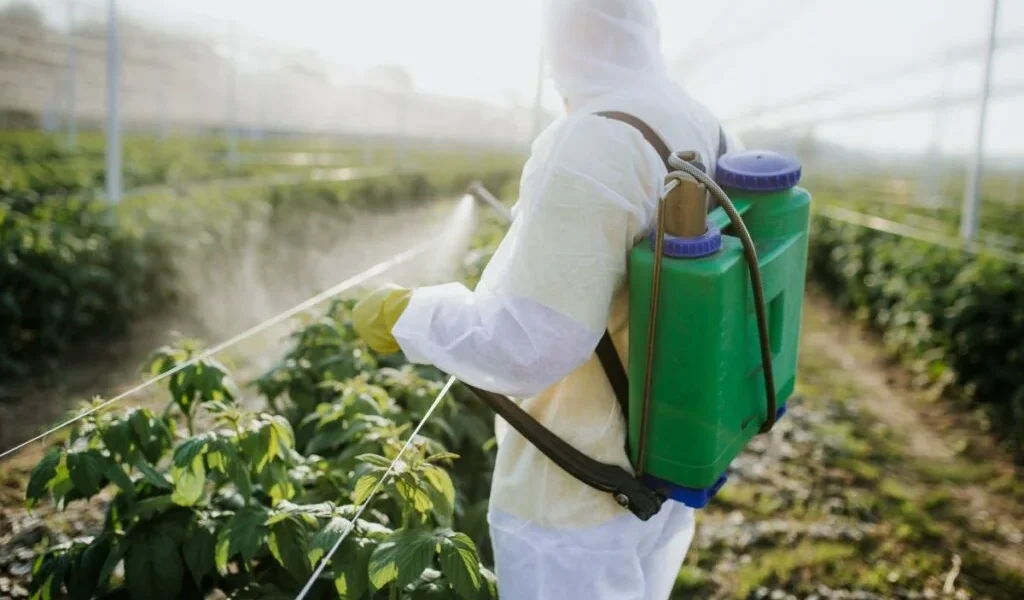 Kenya Bans 77 Hazardous Pesticides in Landmark Safety Overhaul