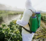 Kenya Bans 77 Hazardous Pesticides in Landmark Safety Overhaul