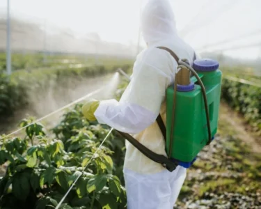 Kenya Bans 77 Hazardous Pesticides in Landmark Safety Overhaul