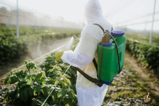 Kenya Bans 77 Hazardous Pesticides in Landmark Safety Overhaul