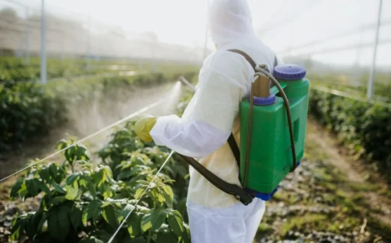 Kenya Bans 77 Hazardous Pesticides in Landmark Safety Overhaul