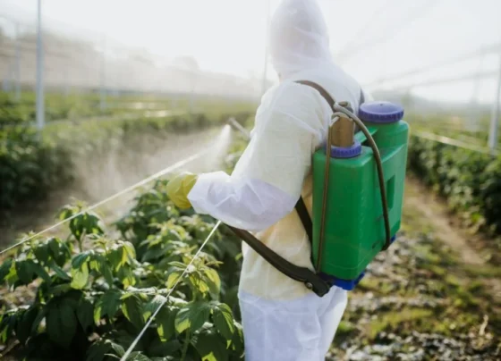 Kenya Bans 77 Hazardous Pesticides in Landmark Safety Overhaul